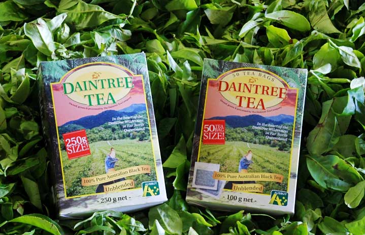 Daintree Tea Products